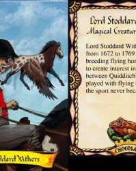  莫布利24+10骑士大胜猛龙  